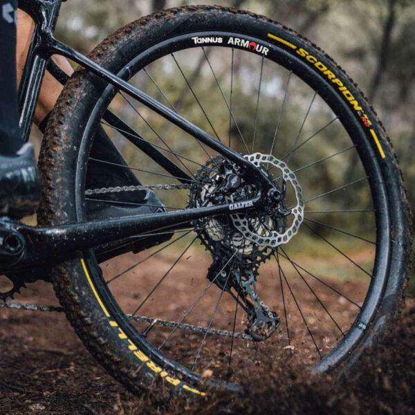 Stickers Tannus Armour