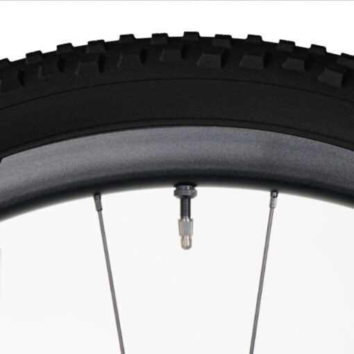 Válvula Tannus Tubeless