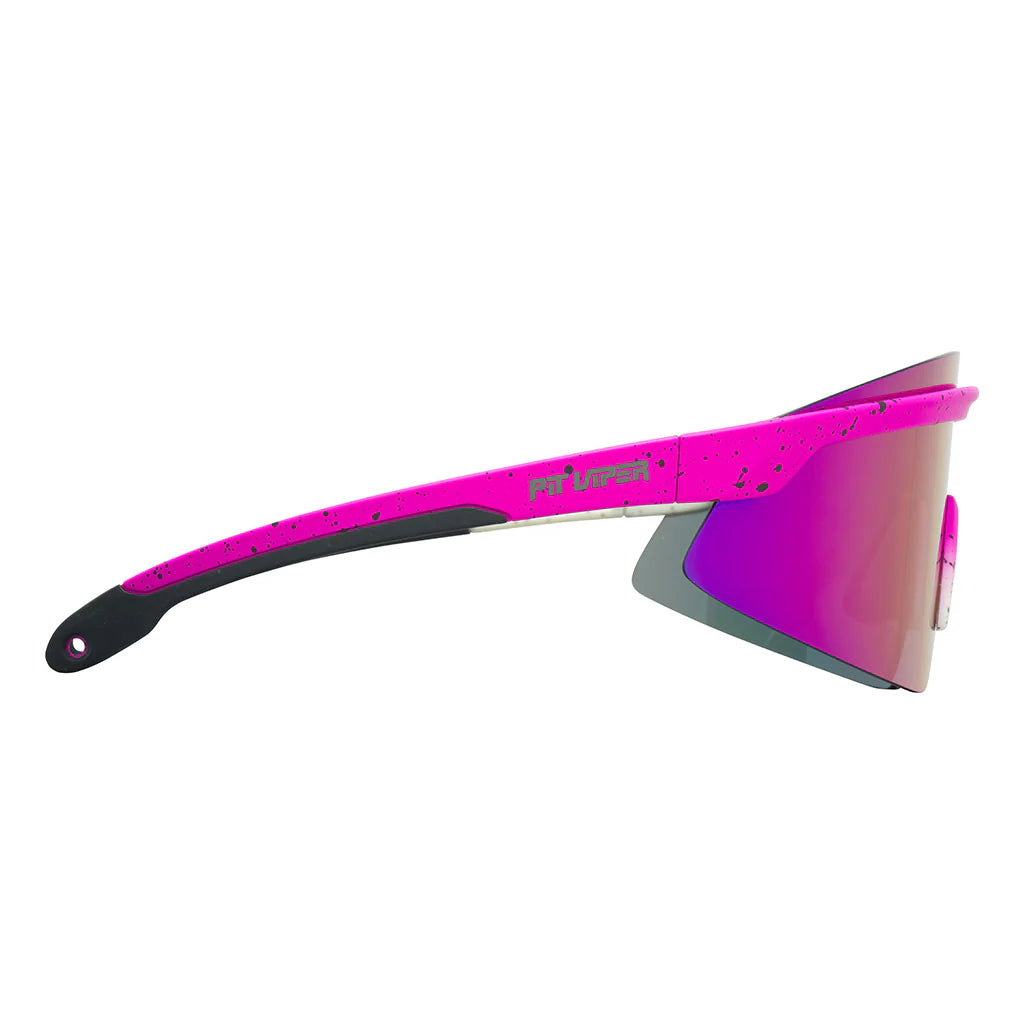 Le Skysurfer Domestique