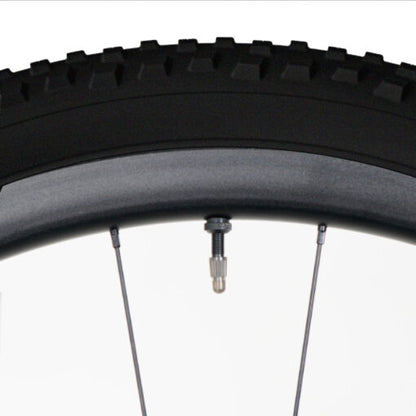 Válvula Tannus Tubeless